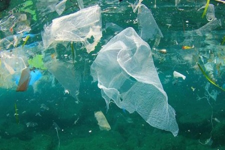 背靠大海合成生物塑料，阻断“白色污染”不是梦
