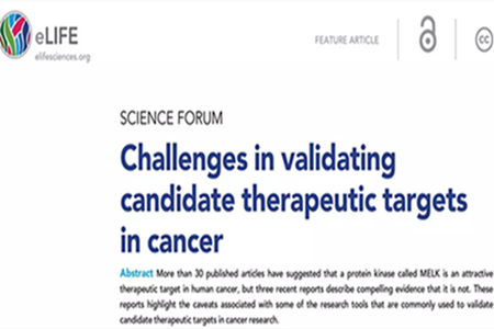 看热门肿瘤靶点的倒下，数十篇论文顶不住3篇重复——验证肿瘤治疗靶点面临的挑战